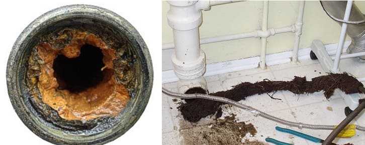 Почему пахнет канализацией в частном доме, в ванной или туалете как избавиться от запаха из канализационных труб sandizain.ru