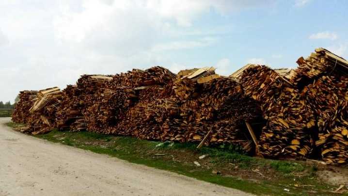 Переработка древесных отходов как построить бизнес по переработке древесины