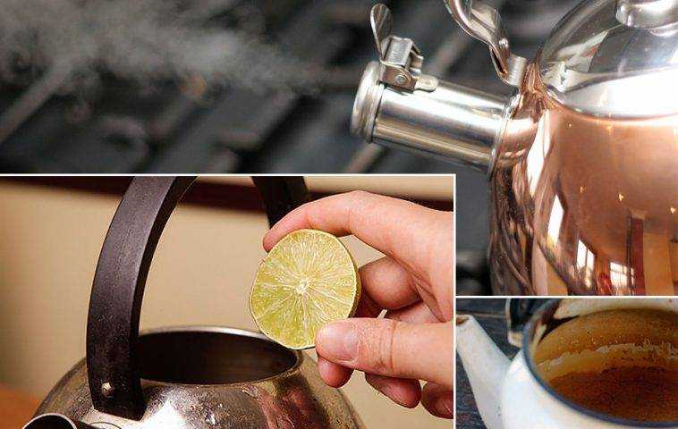Накипь в чайнике: как эффективно очистить в домашних условиях