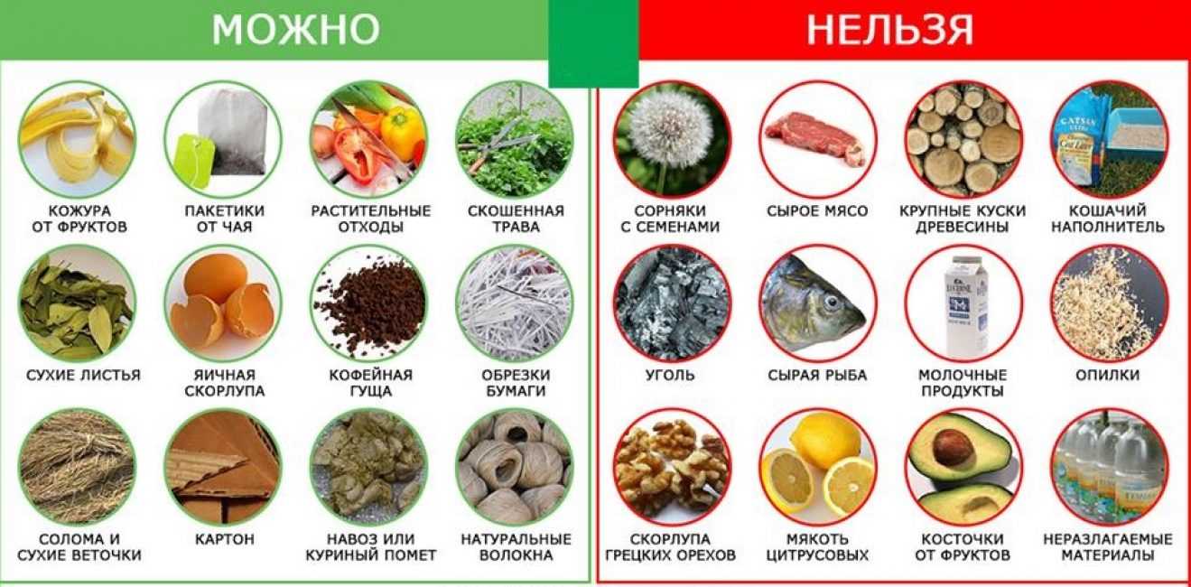 Какие овощи можно давать. Перечень продуктов для кошки. Запрещенные продукты для кошек. ЧОО можно давать котята а что нельзя. Что можно есть кошкам.