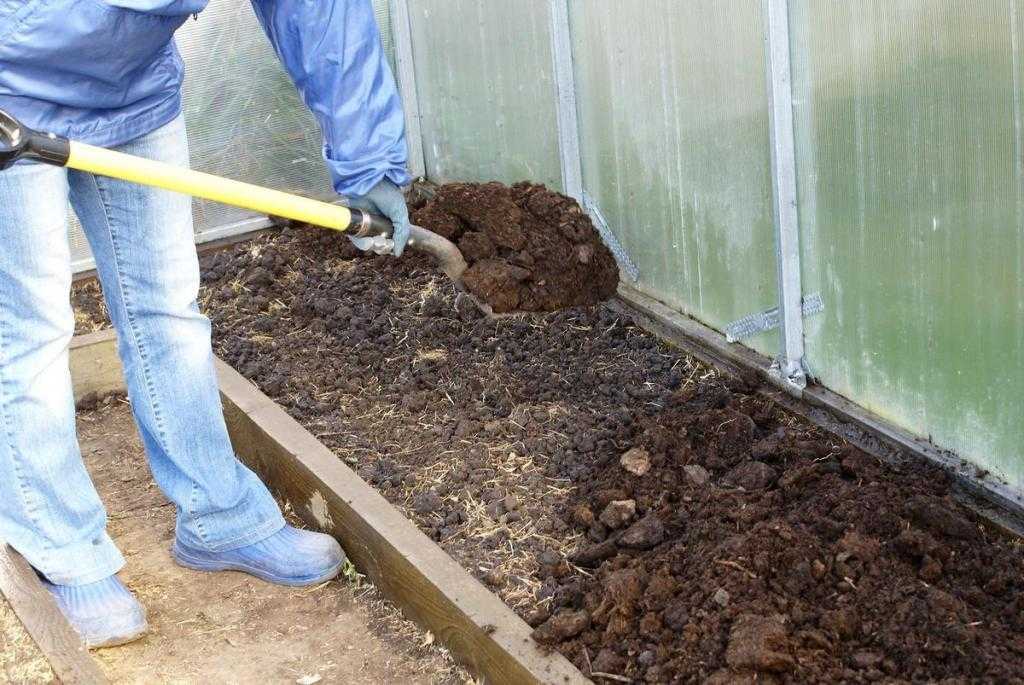 Советы, как обеззаразить почву в теплице, выбор средств для мытья парника, а также обзор удобрений для правильной подготовки почвы в теплице осенью