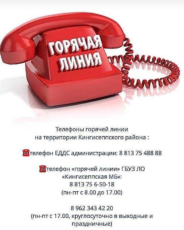 220 вольт санкт-петербург - адреса магазинов, время работы, телефоны и отзывы
