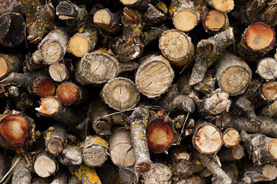 Дрова из различных пород древесины: какие лучше применять, обзор популярных вариантов, плюсы и минусы