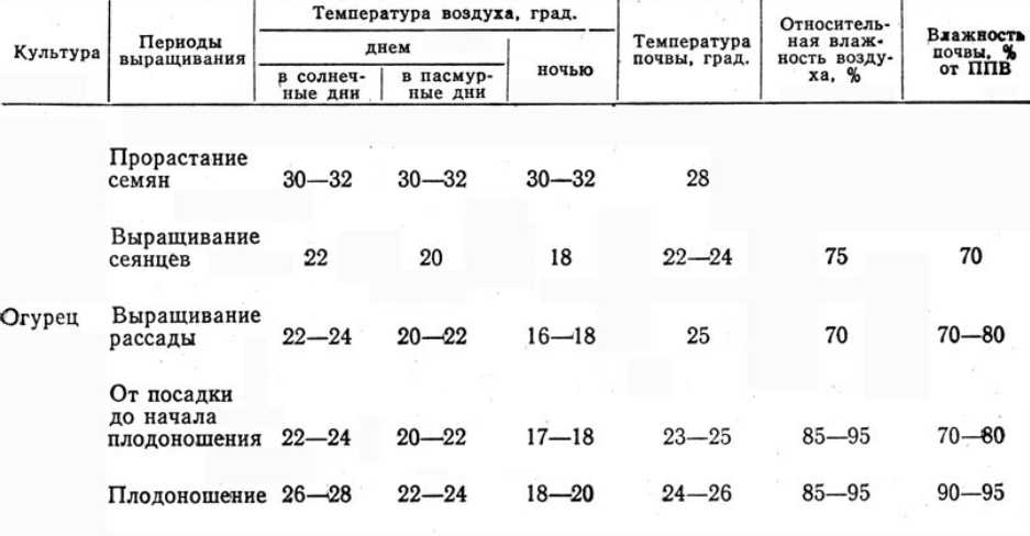 Температура в теплице: оптимальные показатели и способы их достижения