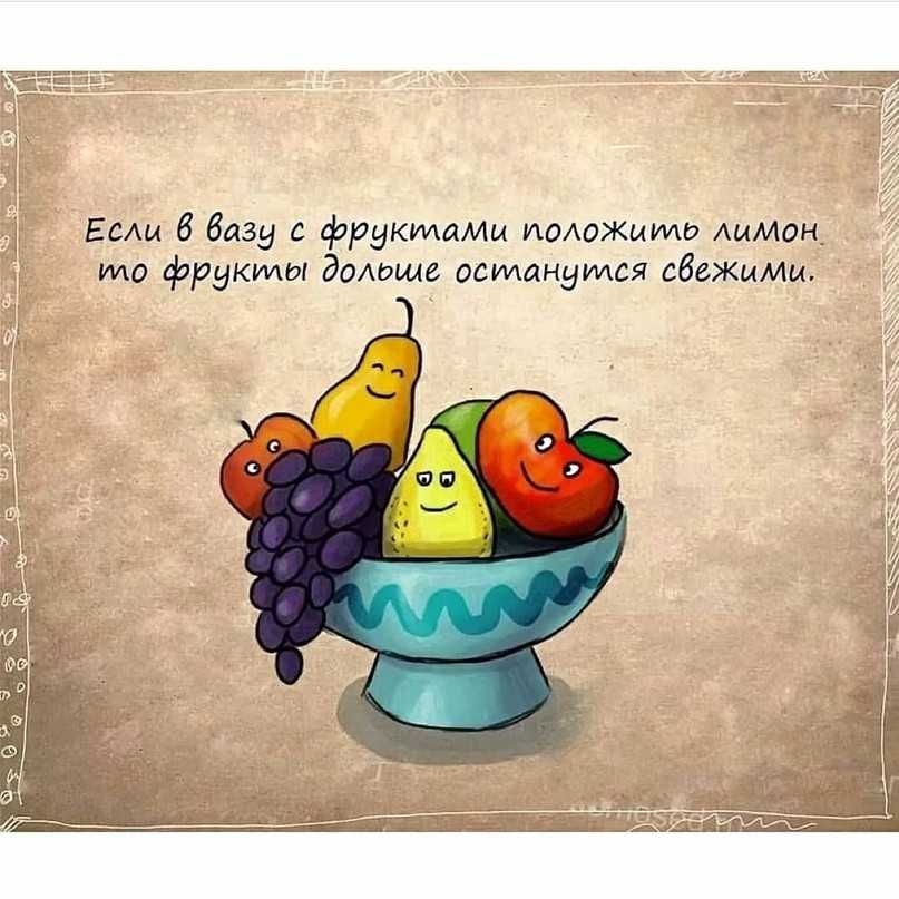 Советы в картинках