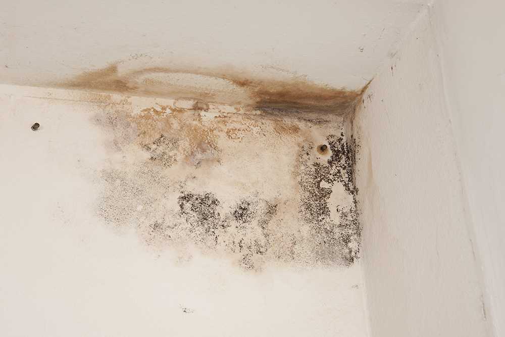 Горит ли натяжной потолок: класс пожарной опасности пвх и тканевых полотен