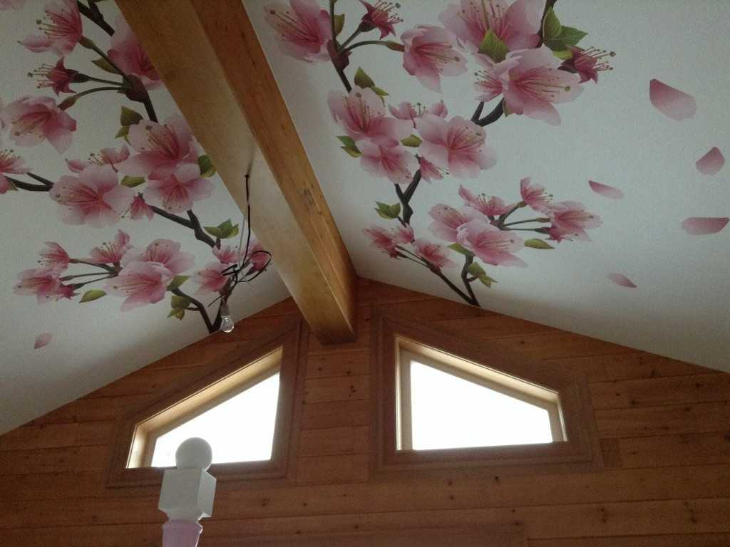 Тканевый потолок или пвх: отзывы, натяжные или ткань, что лучше, чем отличается, какой выбрать