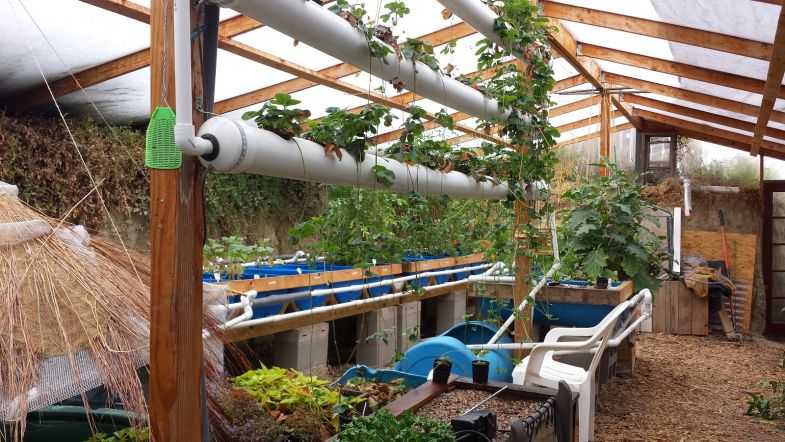 Строим подземную теплицу-термос для круглогодичного садоводства