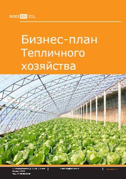 Теплица как бизнес – бизнес-план на выращивани круглый год | florabank.ru