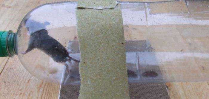 Как защитить каркасный дом от мышей и насекомых