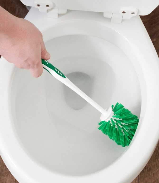 Как отмыть ершики для туалета