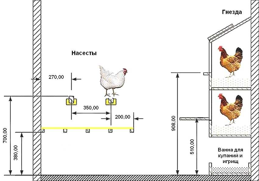 Как построить зимний курятник своими руками на 20 кур: следуем простой инструкции при постройке птичника