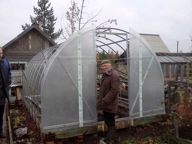 Зимняя теплица своими руками: фундамент, каркас, крыша и стекла