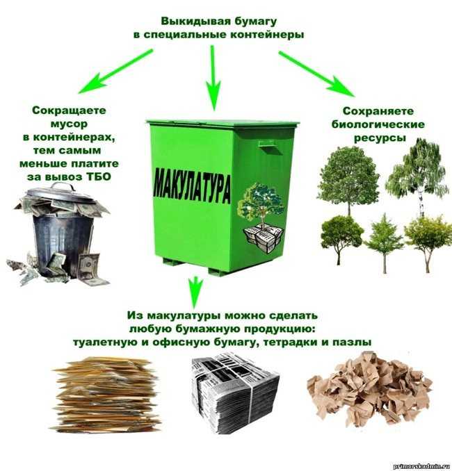 Что можно производить из отходов древесины? - утилизация и переработка отходов производства