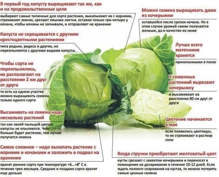 80 современных секретов – полезных советов хозяйке на заметку