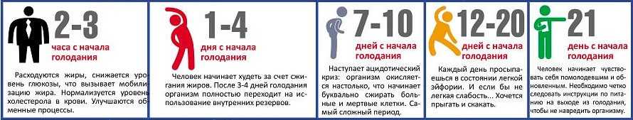 100 полезных советов по хозяйству на все случаи жизни