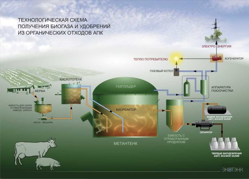 Биотопливо в домашних условиях — учимся делать биогаз и биодизель
