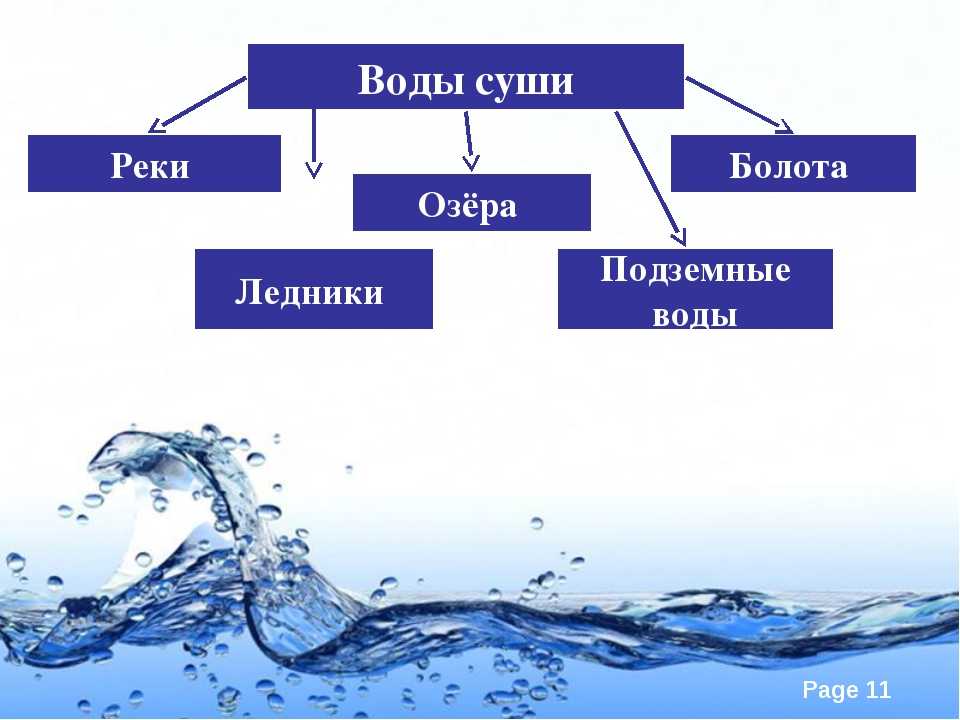 Примеры рек и озер. Вода суши реки озёра ледники подземные воды. Воды суши. Воды суши схема. Воды суши реки.