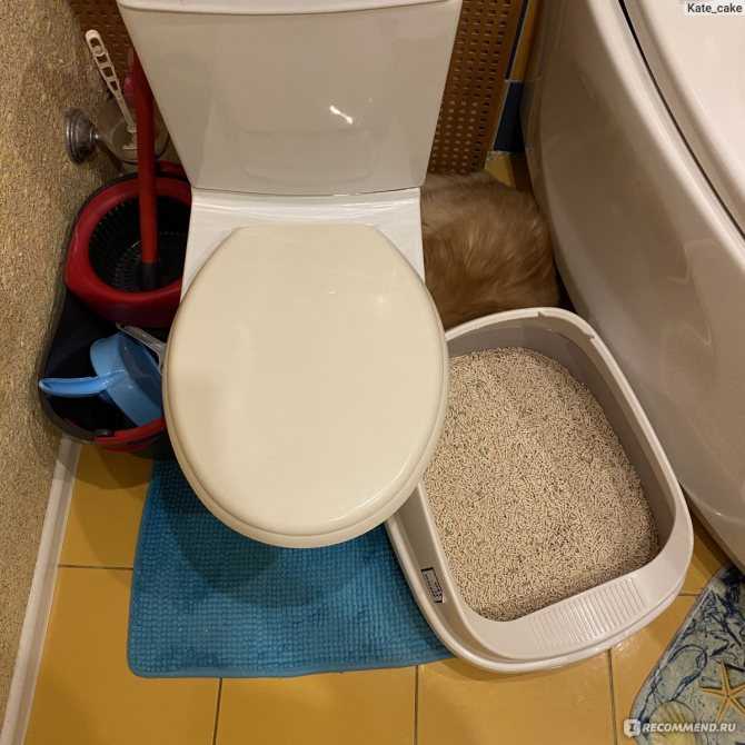 Можно ли древесный наполнитель смывать в унитаз? как убирать кошачий туалет с наполнителем : labuda.blog