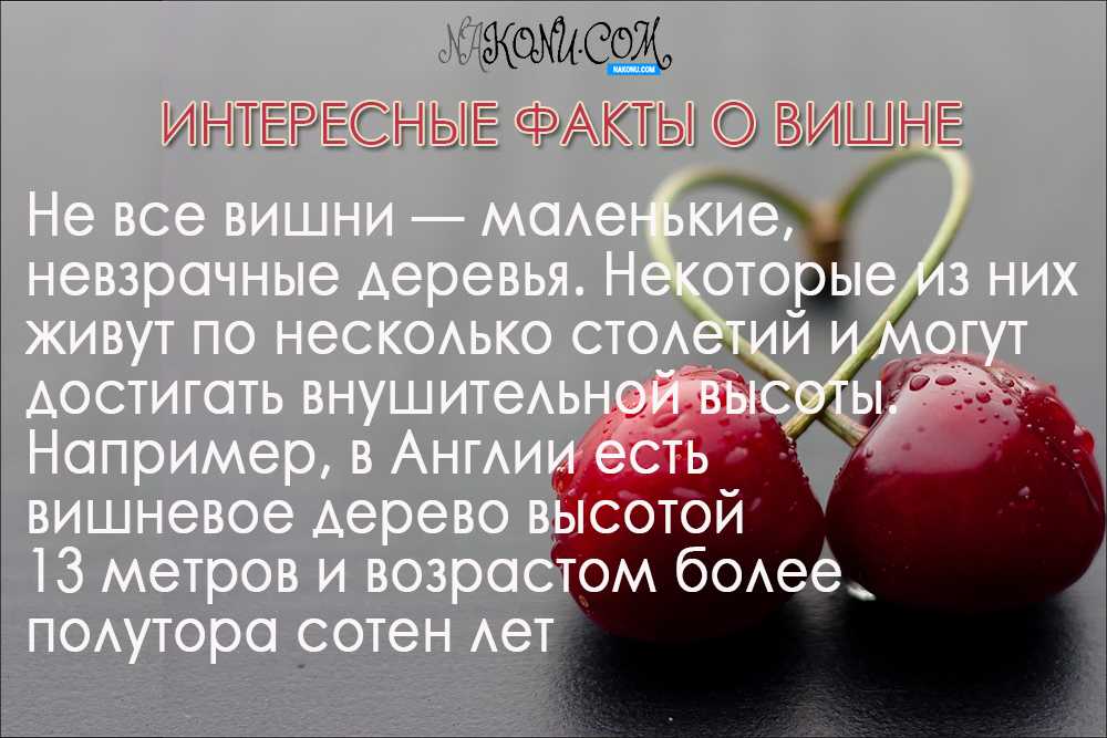 Невроз лица: симптомы и признаки, почему происходит онемение лицевых мышц, что такое парестезия лица, лечение