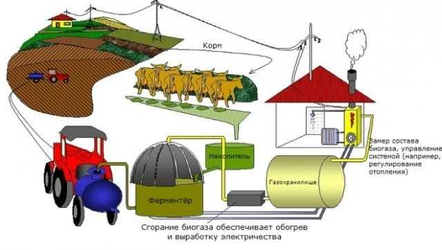 Биотопливо своими руками в домашних условиях, учимся делать биогаз и биодизель