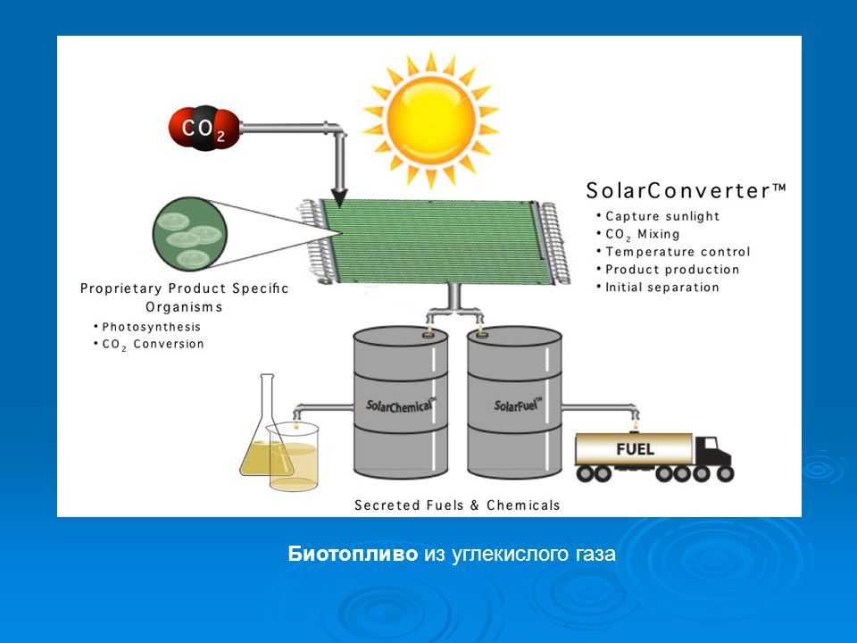 Как получить биодизель своими руками в домашних условиях - energorus.com